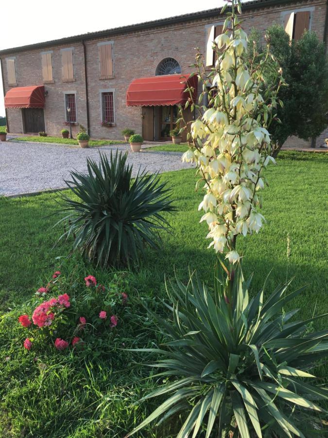 Il Frattiero B&B Voghenza Exteriér fotografie